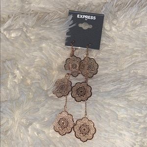 Express Dangle Earrings